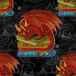 Pre-order Hazeltjes Hazeltjes Baby Smaug Books black organic summersweat, November 2025