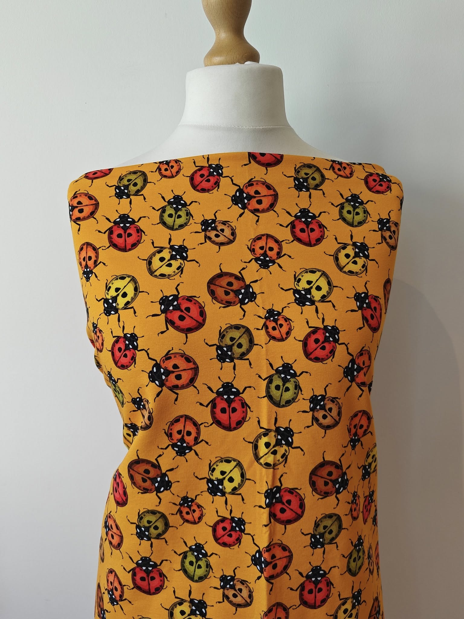 Hazeltjes Ladybird orange organic summersweat - Image 6